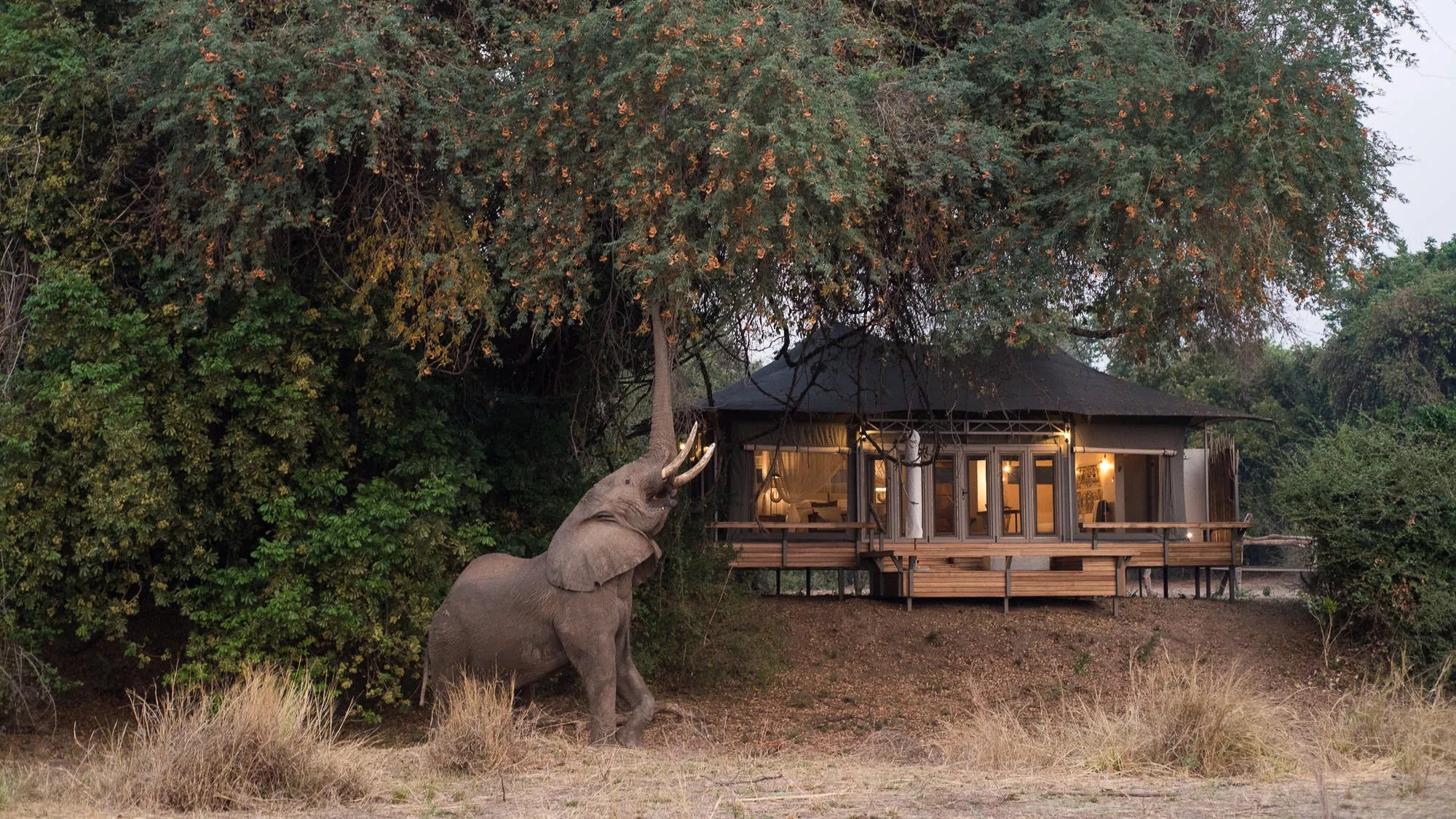 Wilderness Chikwenya at Wilderness Chikwenya, Mana Pools National Park, Zimbabwe.