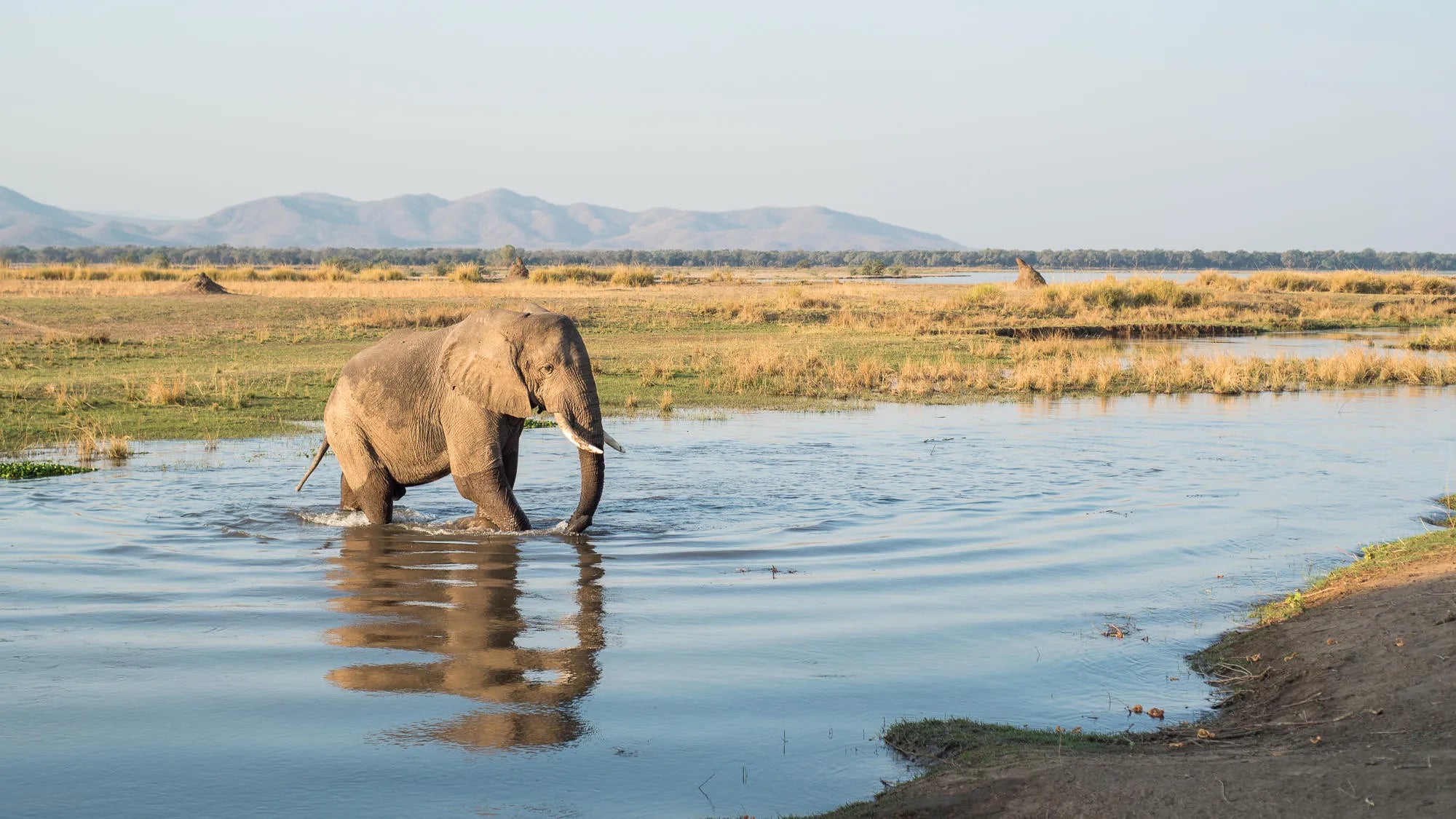 Wilderness Chikwenya at Wilderness Chikwenya, Mana Pools National Park, Zimbabwe.