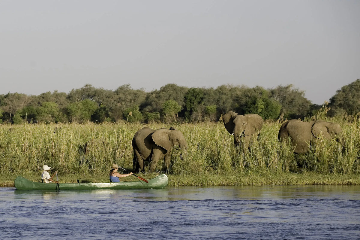 Wilderness Chikwenya – Canoeing *