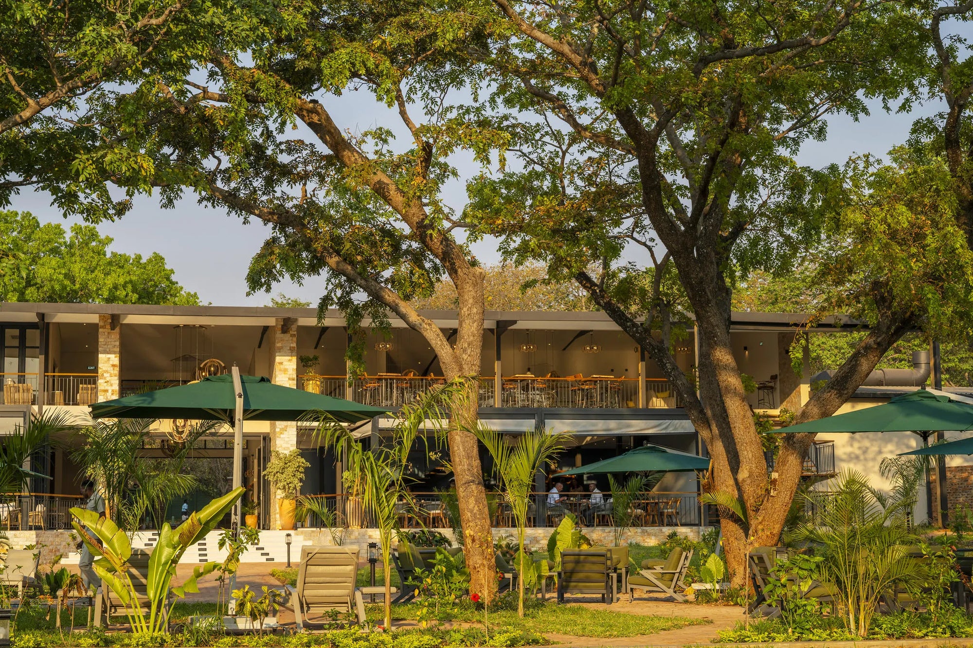 Waterfalls Lodge - Trees at Waterfalls Lodge, Victoria Falls (Zimbabwe), Zimbabwe.