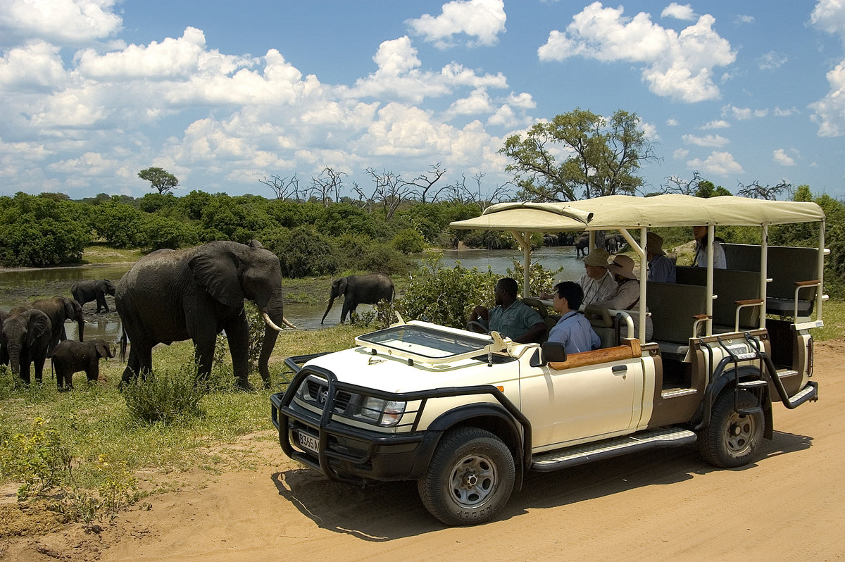 Wild Horizons Chobe Day Trip