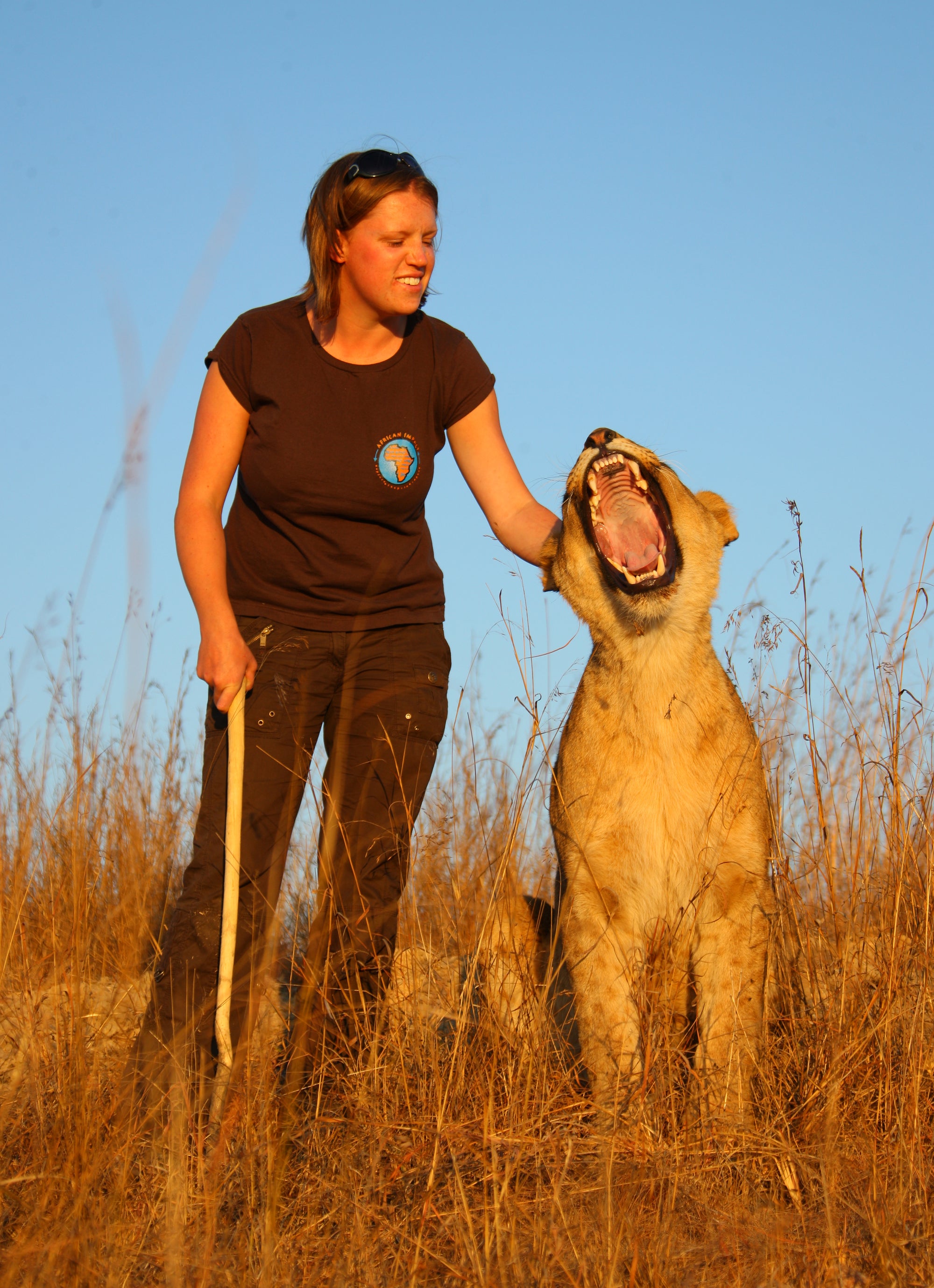 Volunteer on Lion Walk