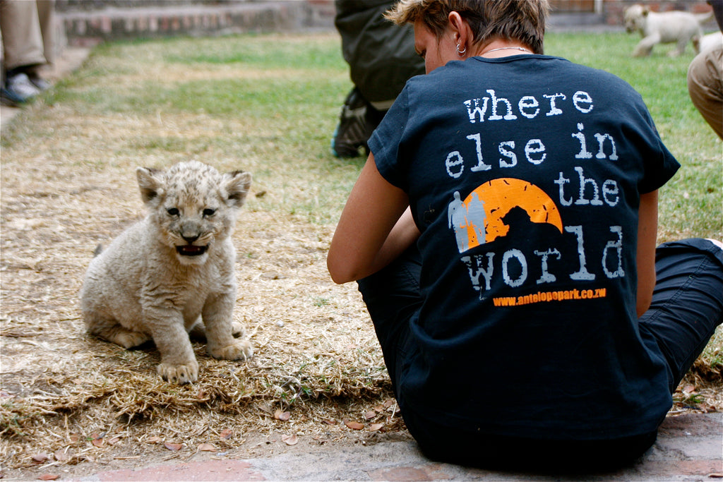 Volunteers with lion cub