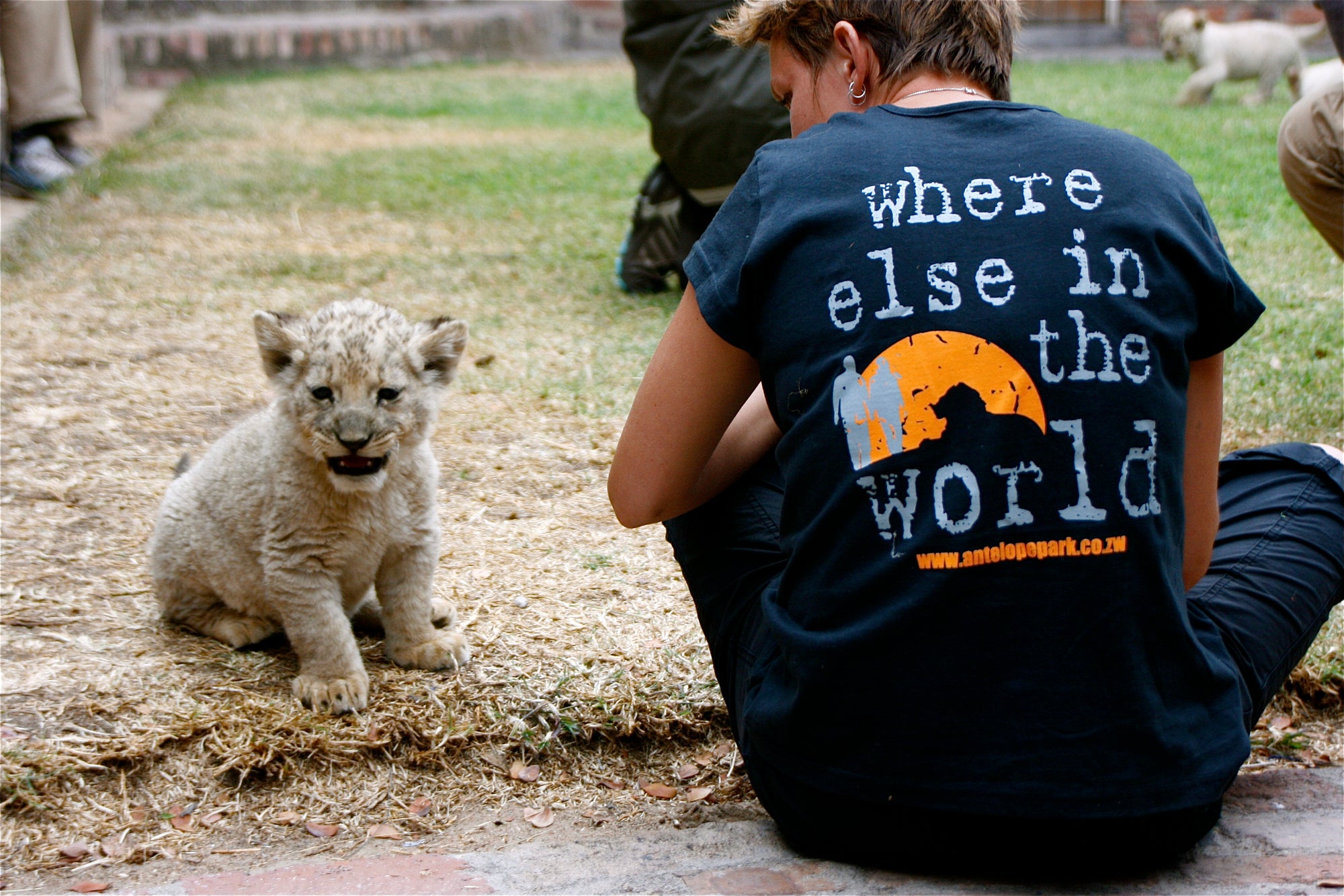 Volunteers with lion cub