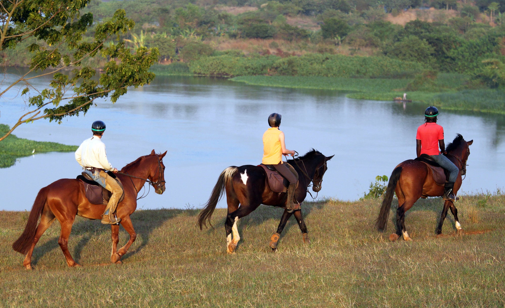 Horse Riding Safaris