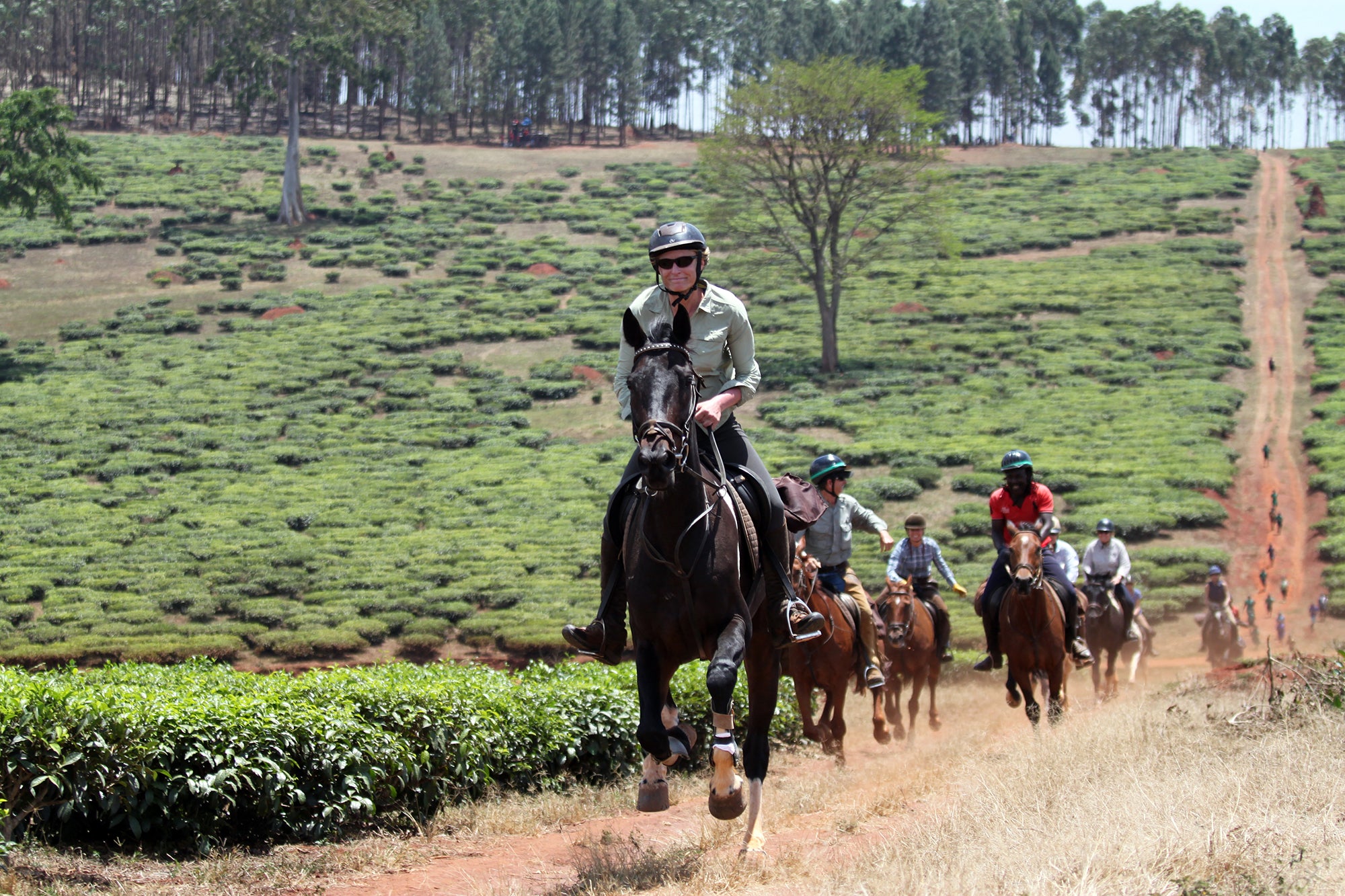 Horse Riding Safaris