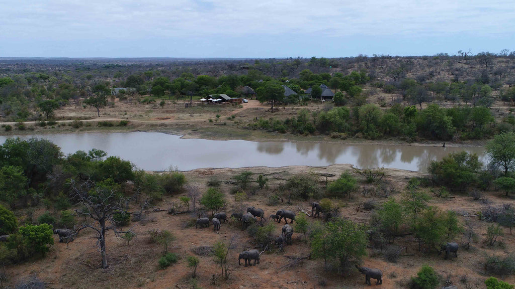 Bateleur’s Nest Lodge
