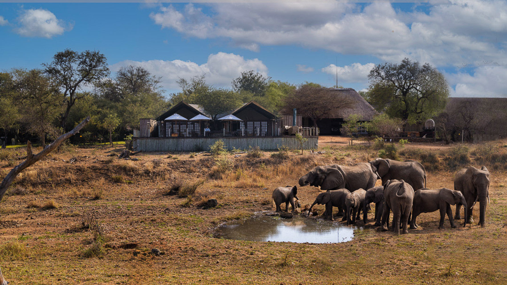 Bateleur’s Nest Lodge
