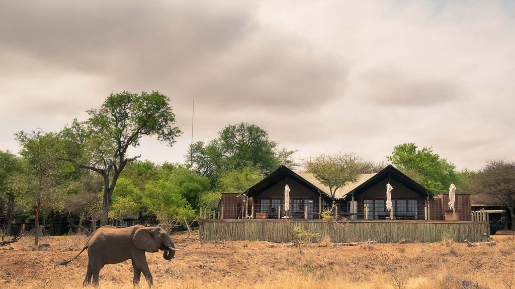 Bateleur’s Nest Lodge