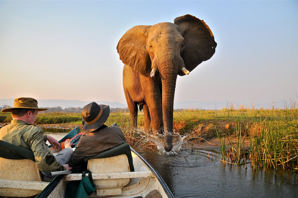 Ruwesi Canoe Trails
