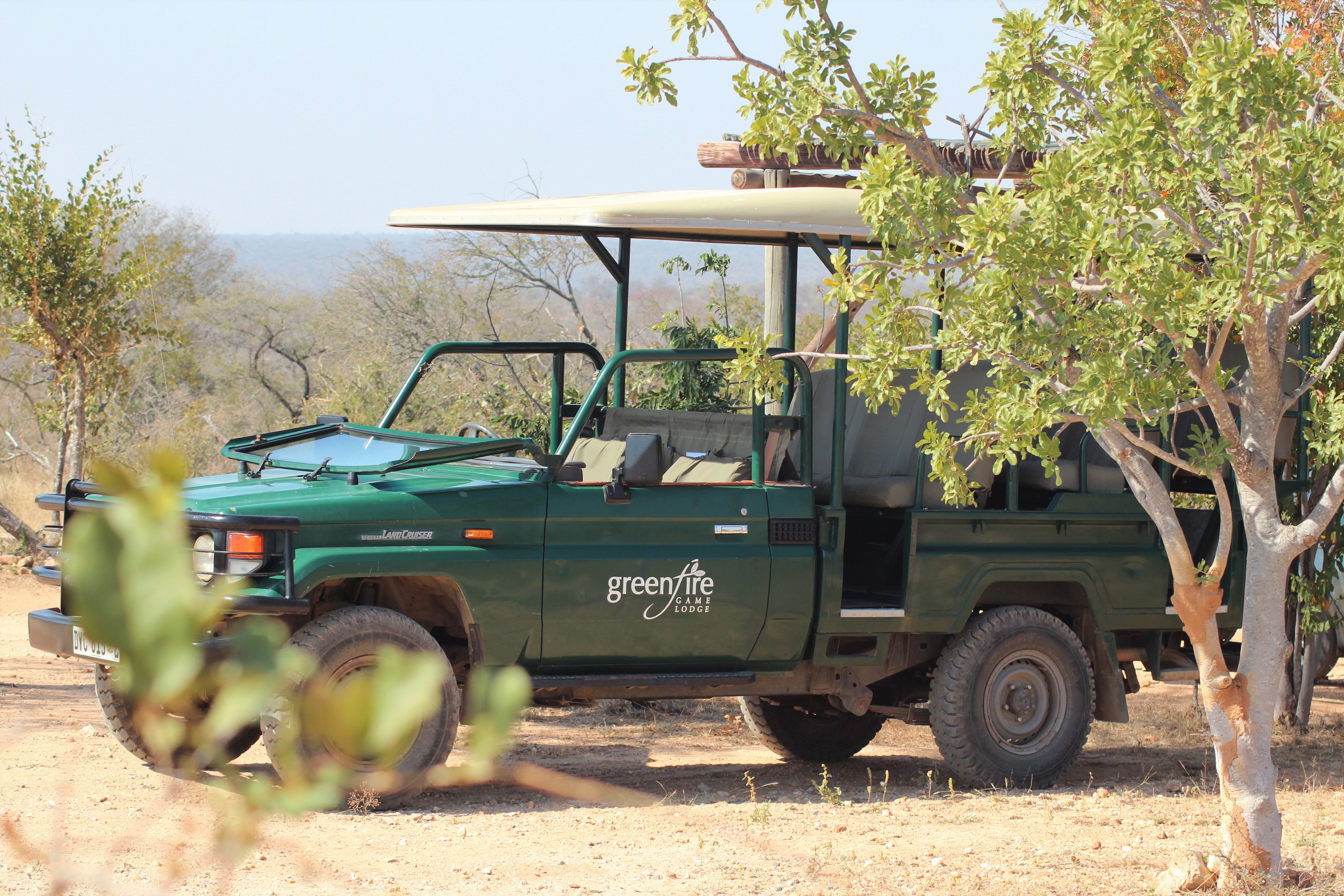 Safari Vehicle