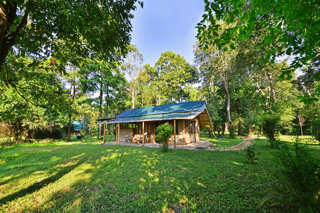 Ishasha Wilderness Camp - Room