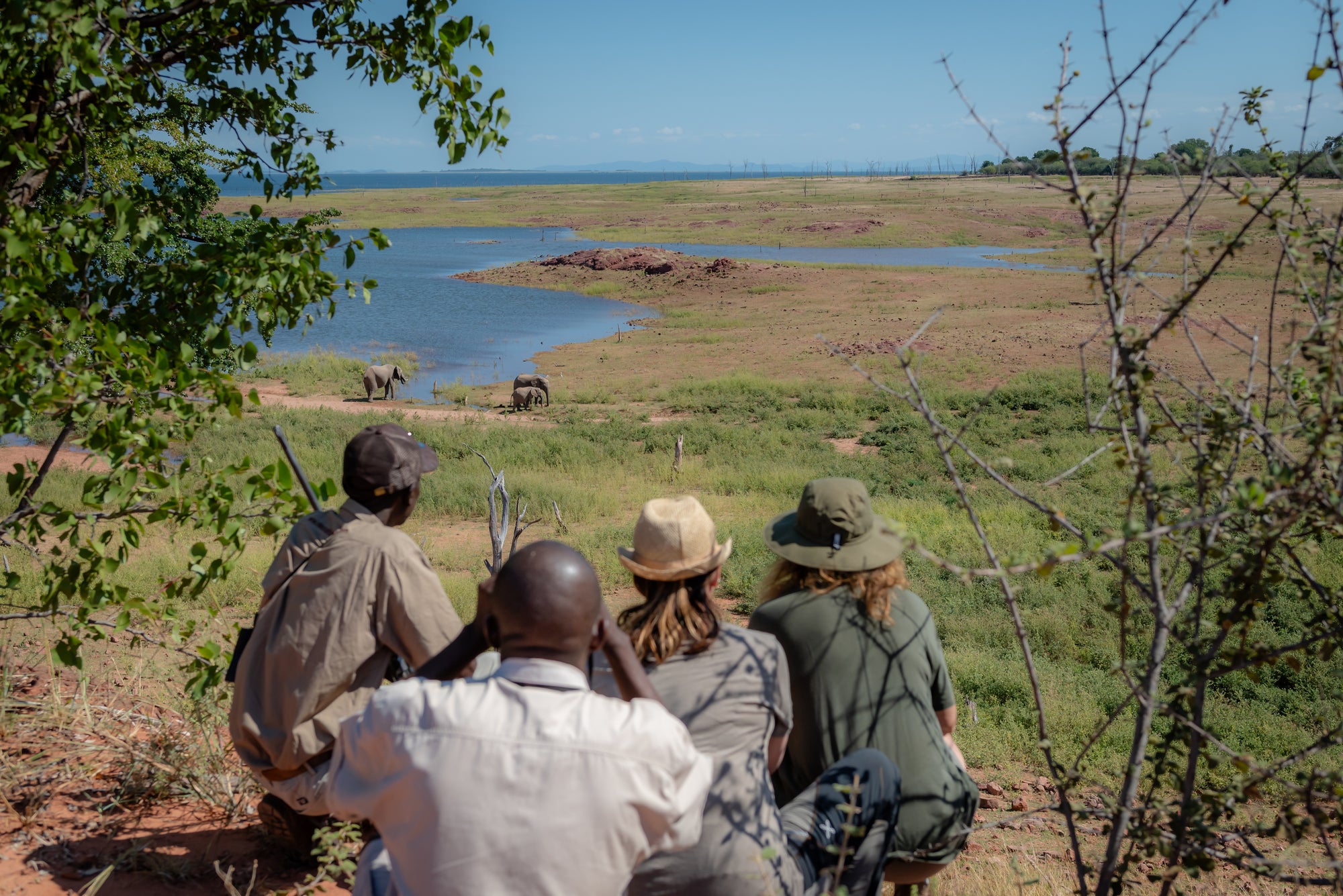 Walking Safari