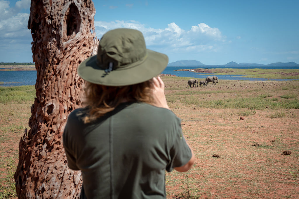 Walking Safari
