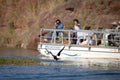 Boat Safari