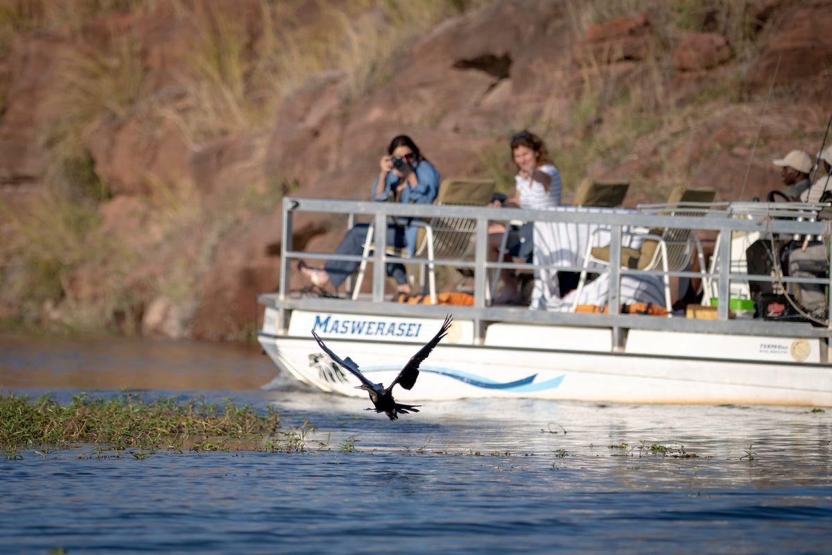 Boat Safari