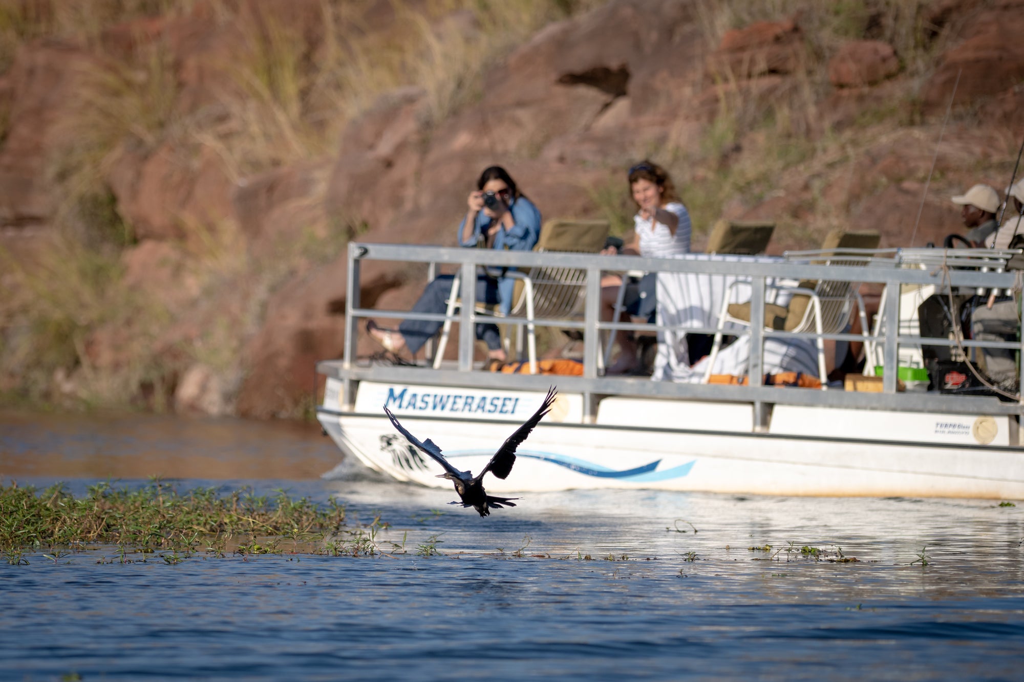 Boat Safari