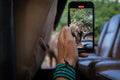 Game Drive