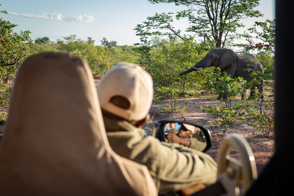 Game Drive