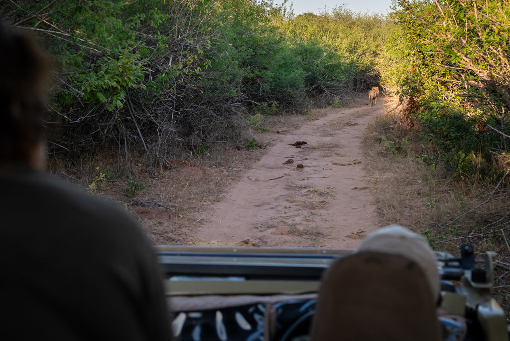Game Drive