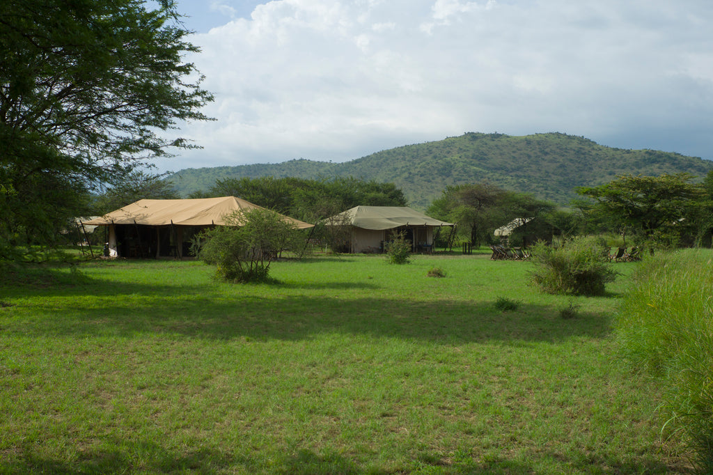 Tents