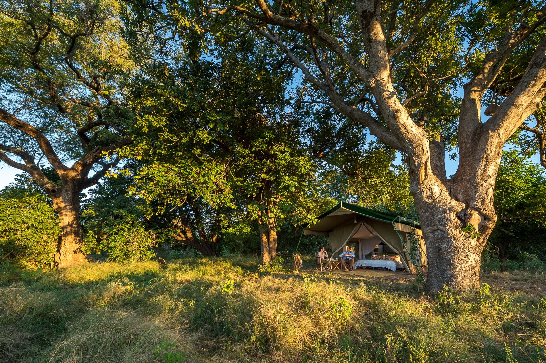 John's Camp