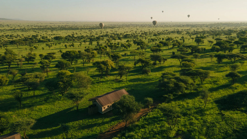 Scenic at Awali Serengeti Camp, Central Serengeti, Tanzania.