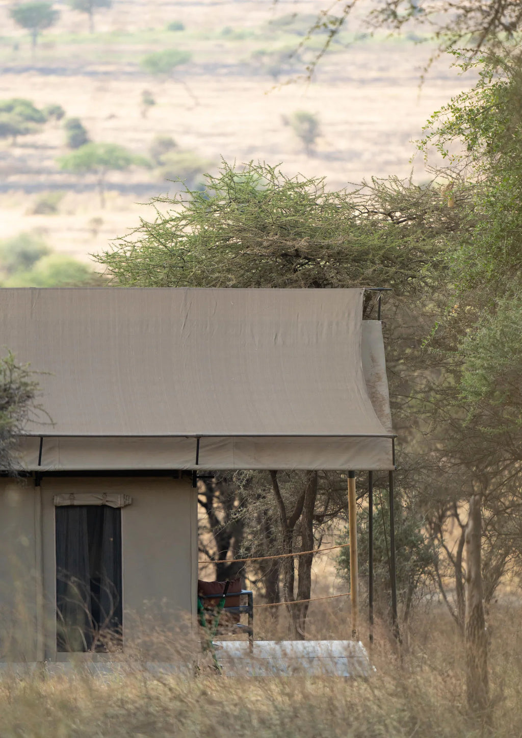 Guests tent at Awali Serengeti Camp, Central Serengeti, Tanzania.