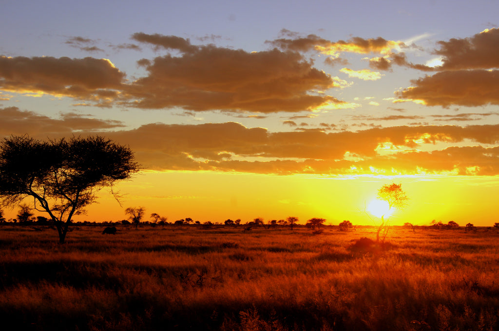 Sunset view
