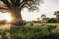 Featured image.