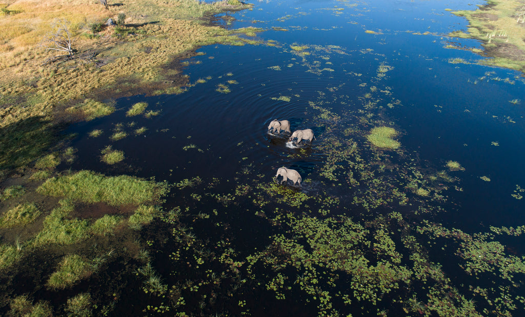 Maxa Wildlife Aerial
