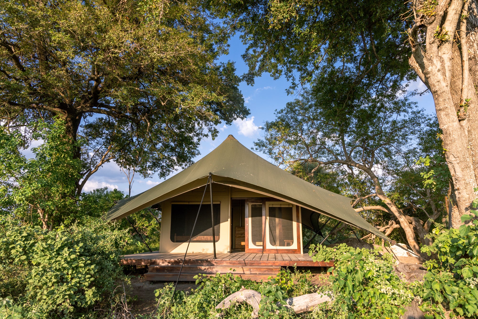 Maxa Tent