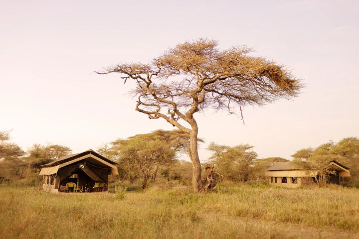 Ndutu Wilderness Camp