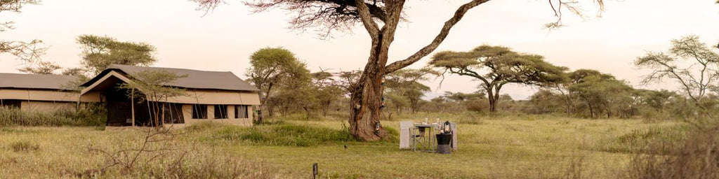 Ndutu Wilderness Camp
