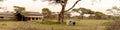 Ndutu Wilderness Camp