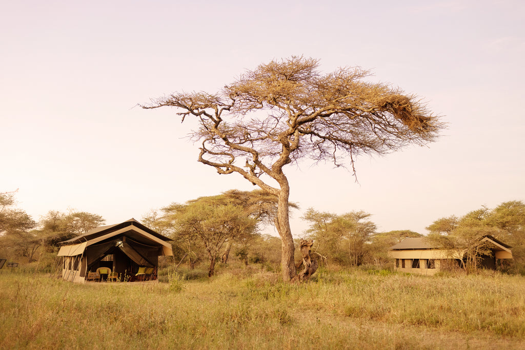 Ndutu Wilderness Camp Guest tents