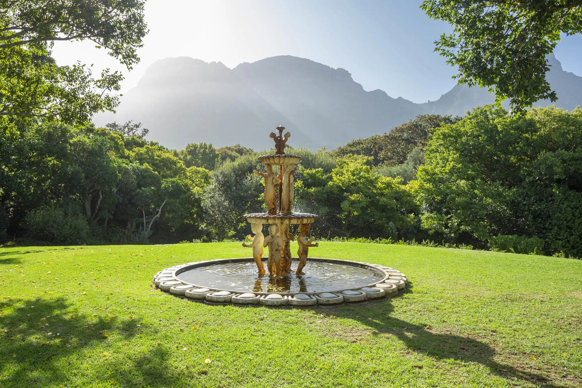 Mountain views at Vineyard Hotel, Cape Town, South Africa.