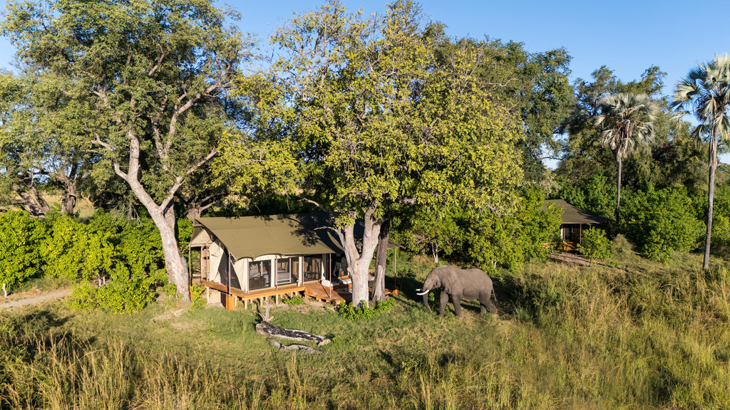 Luxury Tent in the trees