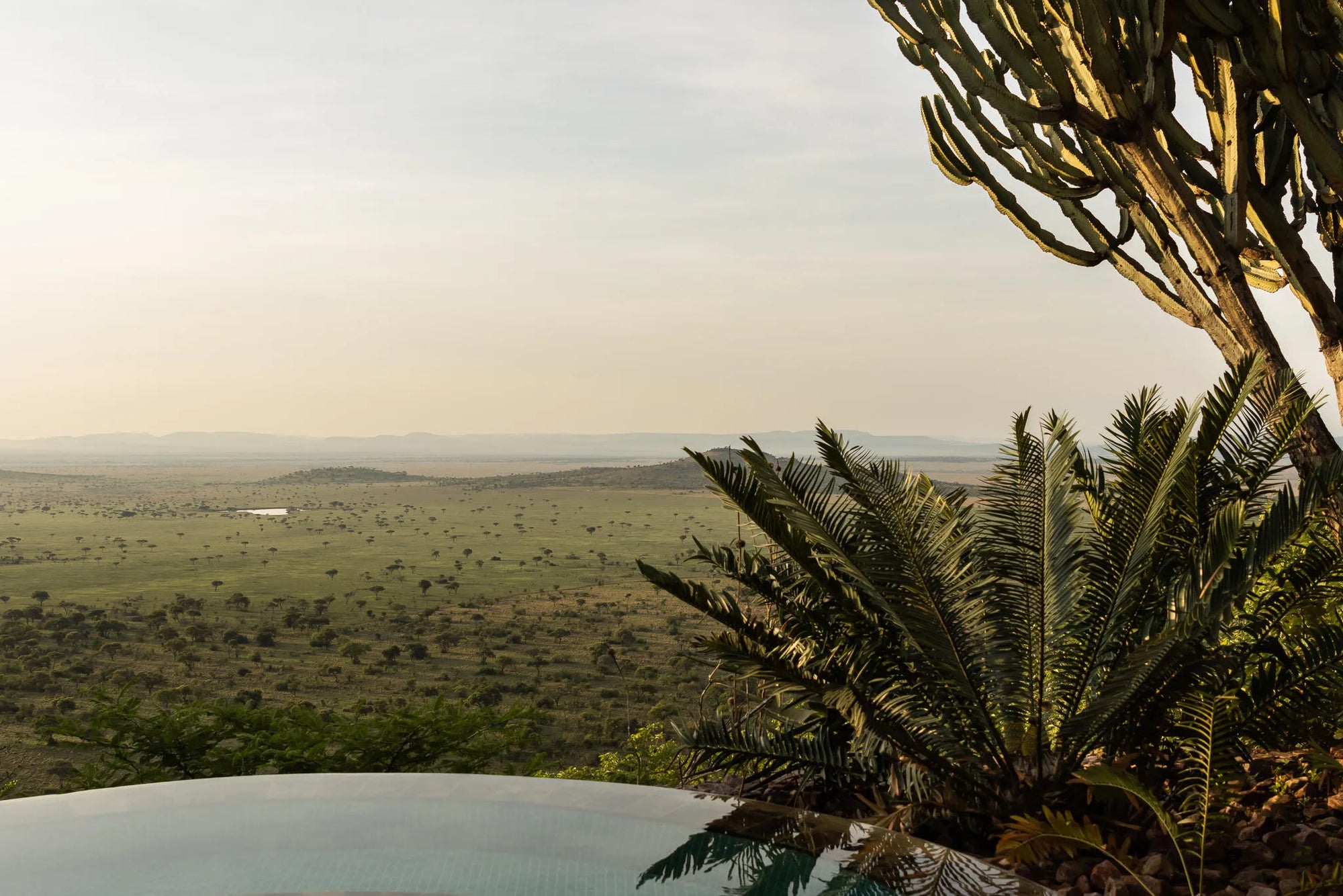 Singita Kilima Pool at Singita Kilima, Singita Serengeti Grumeti, Tanzania.