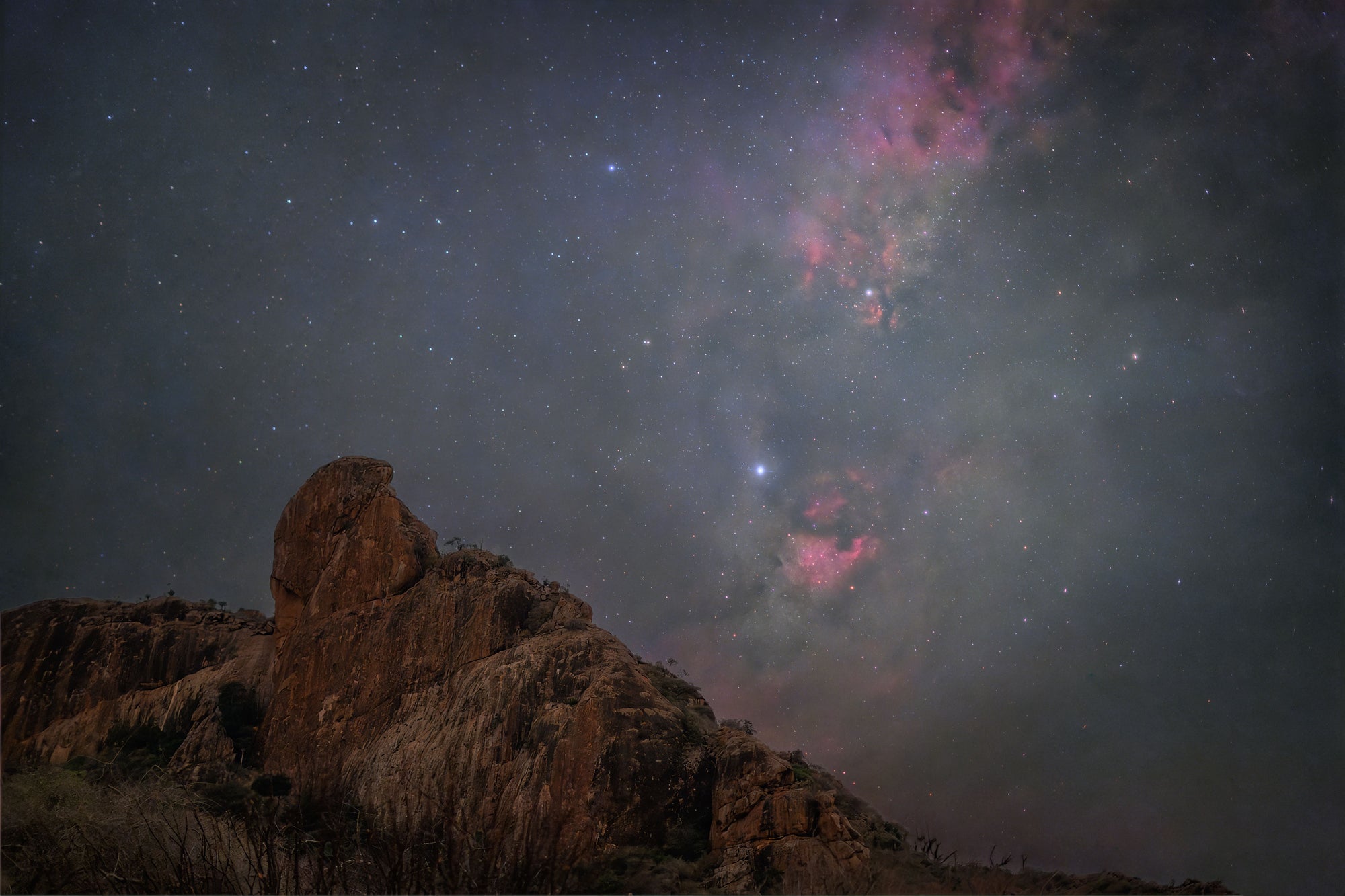 Stargazing Safari 