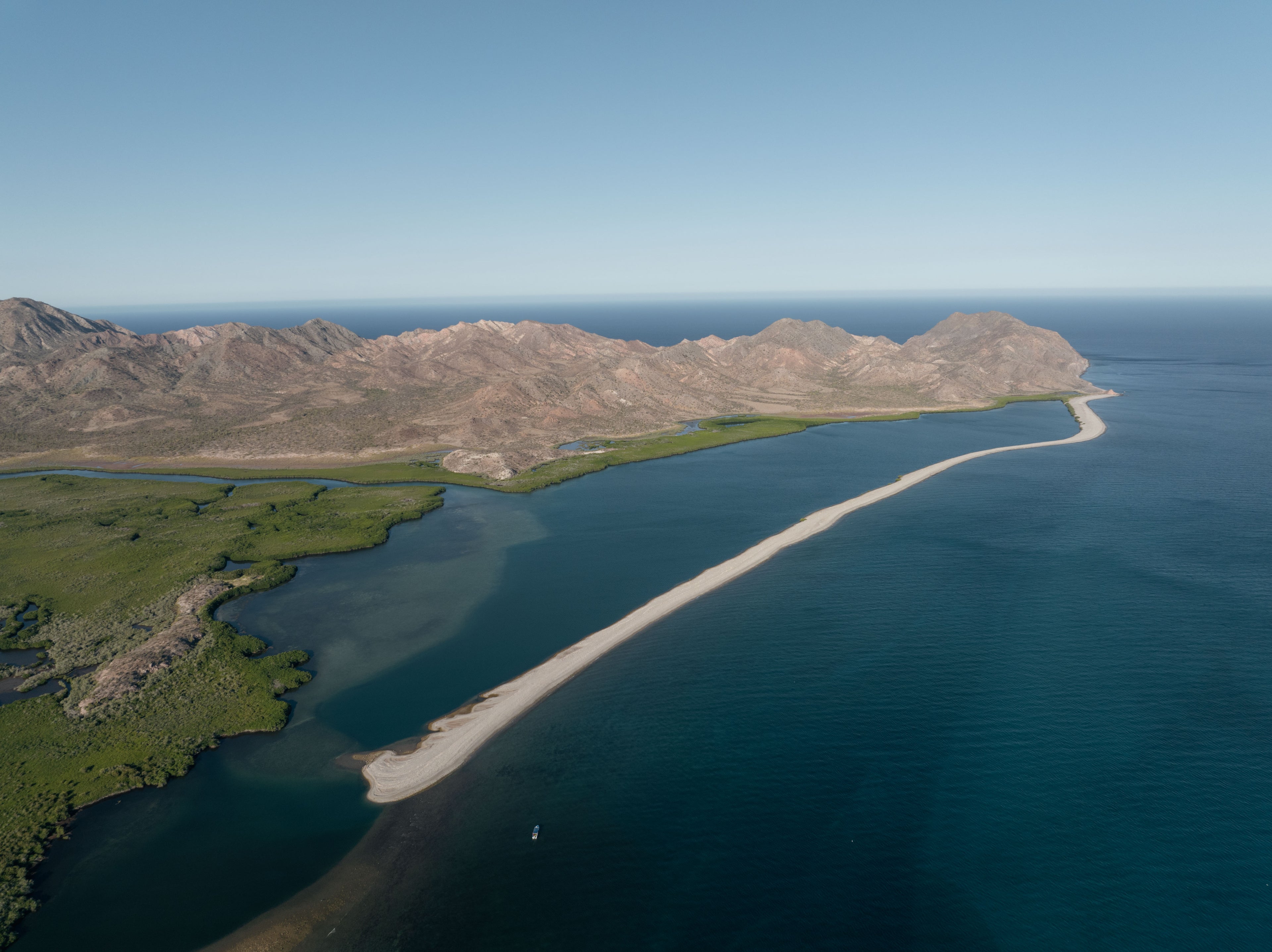 Isla San Jose Mangrovies