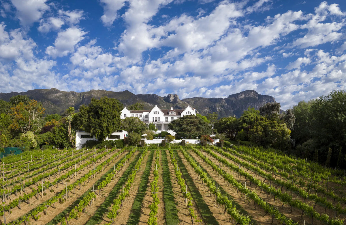 Vineyards at The Cellars Hohenort, Cape Town, South Africa.