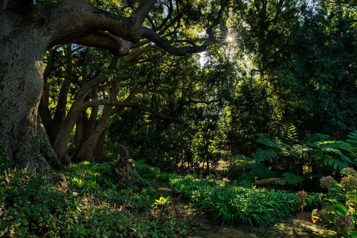 Gardens at The Cellars Hohenort, Cape Town, South Africa.