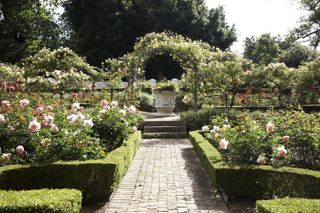 The Cellars-Hohenort Gardens at The Cellars Hohenort, Cape Town, South Africa.