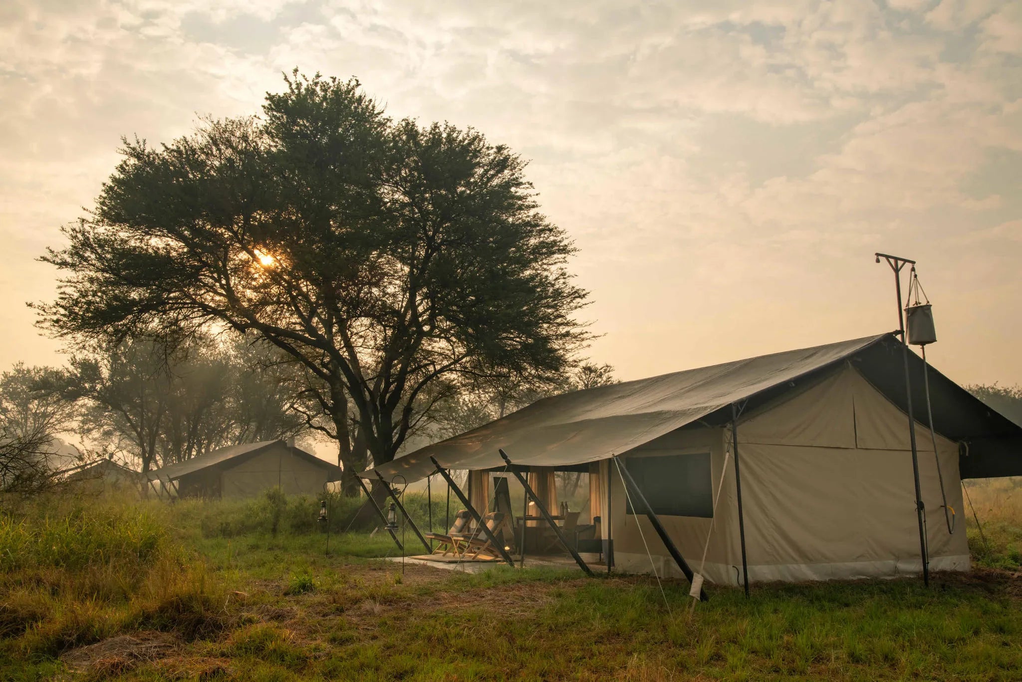 Ubuntu Camp - Tent exteriors at Ubuntu Migration Camp - South (Dec - Mar), Southern Serengeti, Tanzania.