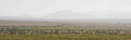 Serengeti Ndutu Kati Kati Tented Camp