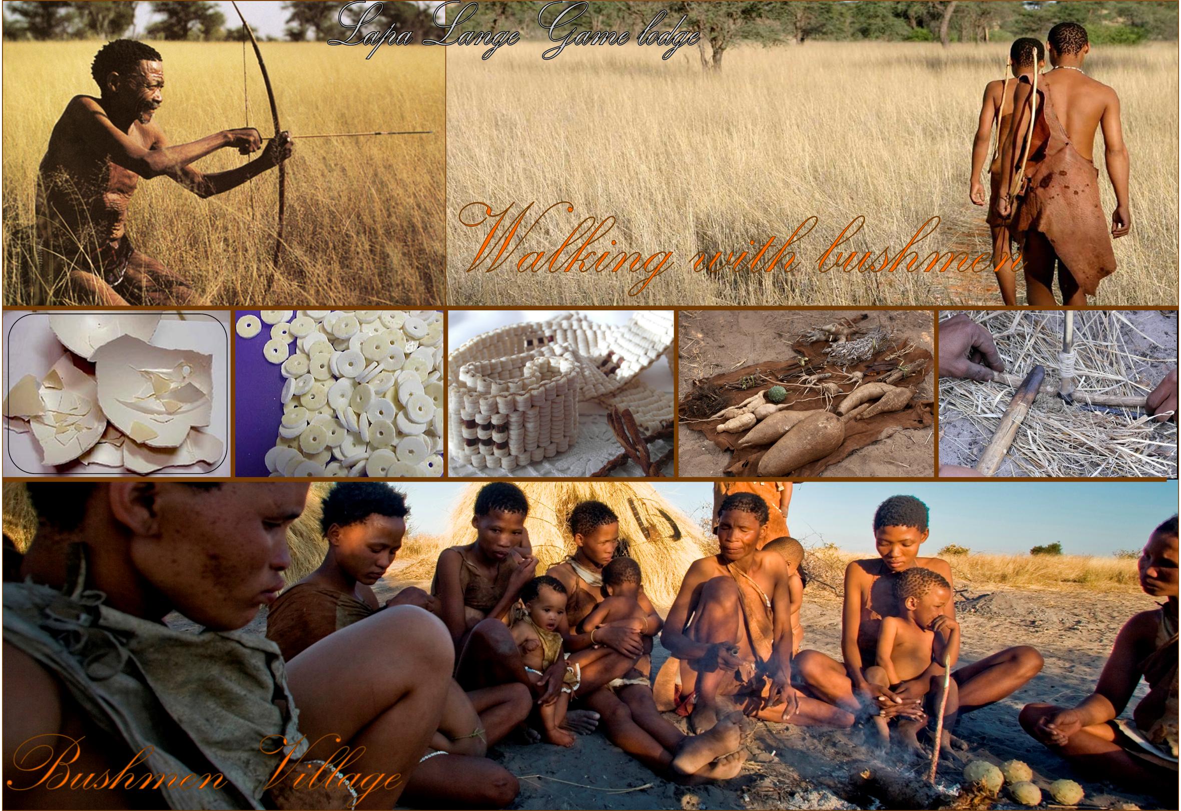 Bushmen Activities