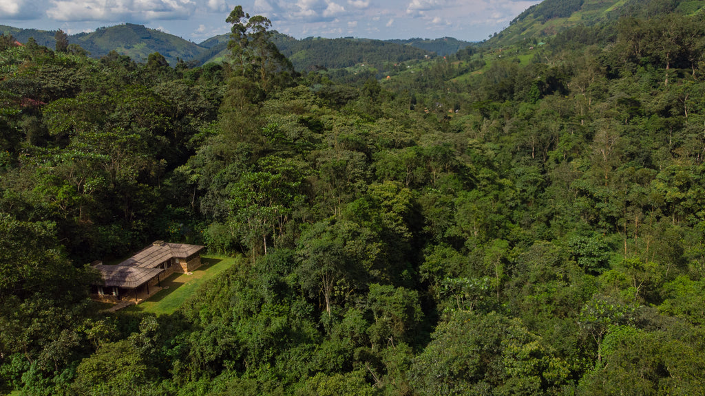 Bwindi Lodge
