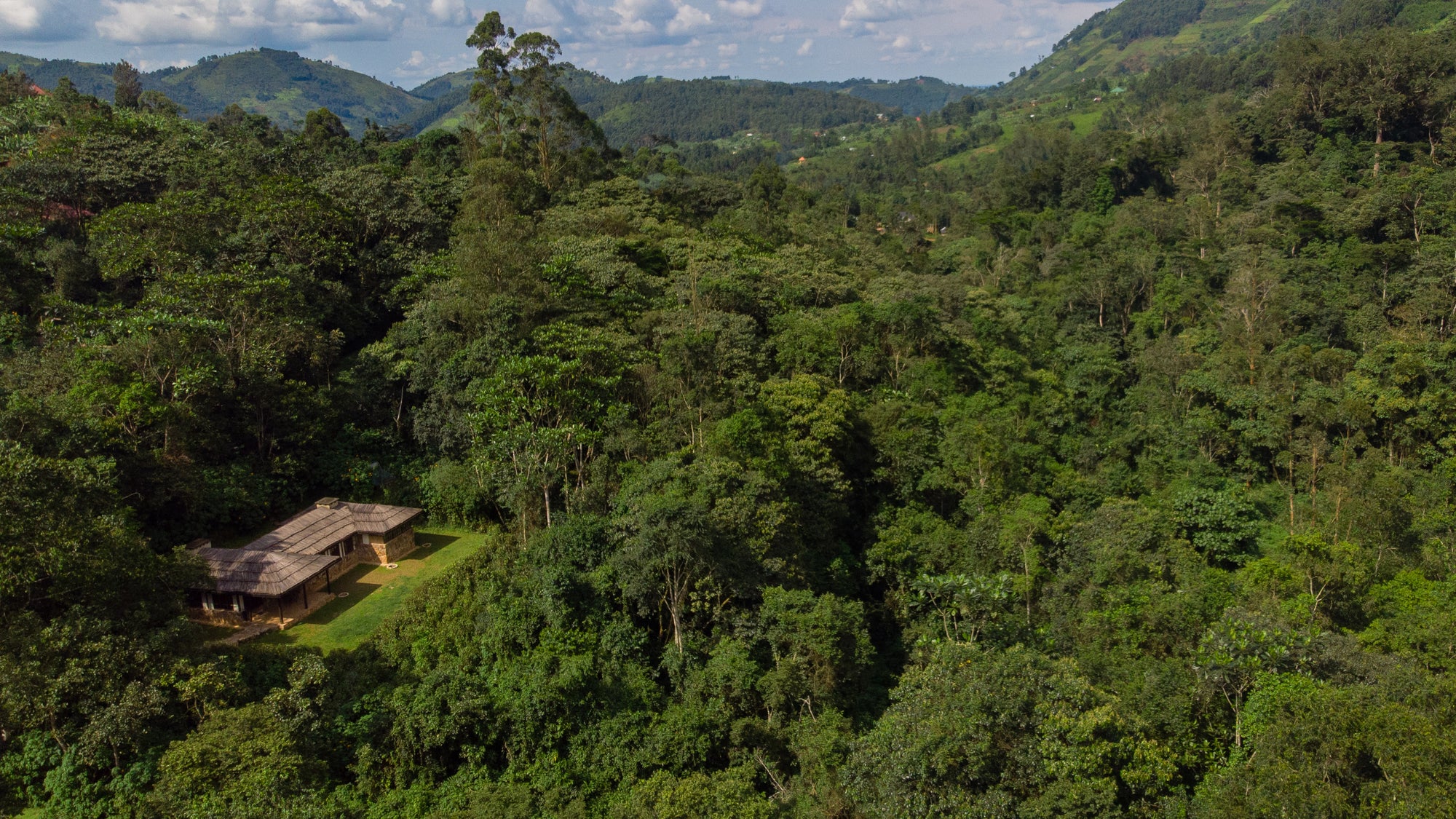 Bwindi Lodge