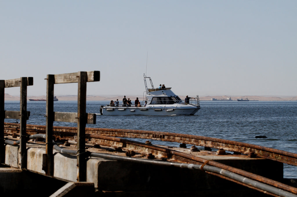 Mola Mola Marine Dolphin Cruise